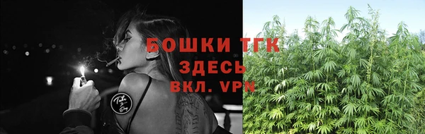 соль ск Бронницы