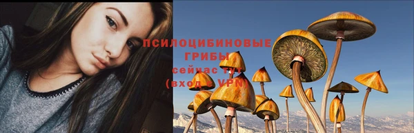 стафф Богородицк