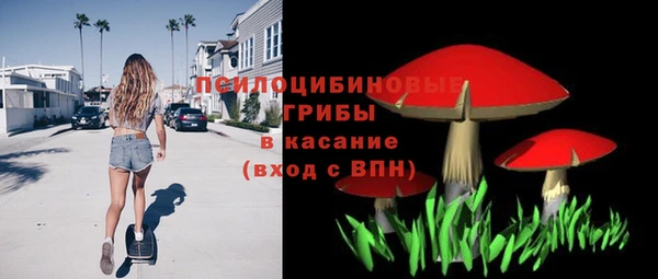 стафф Богородицк
