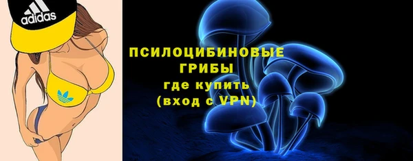 гидропоника Богданович