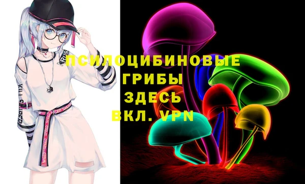 стафф Богородицк